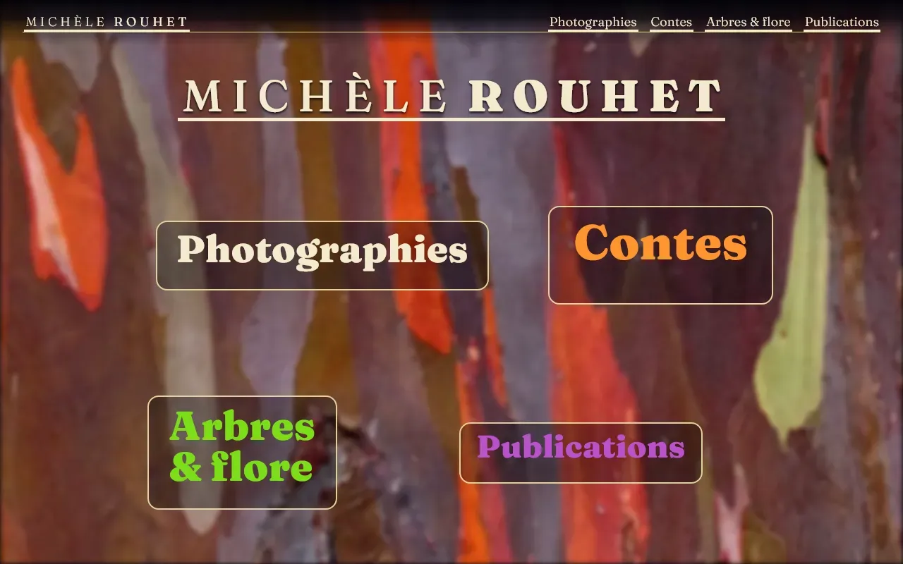 Capture de page de michelerouhet.fr